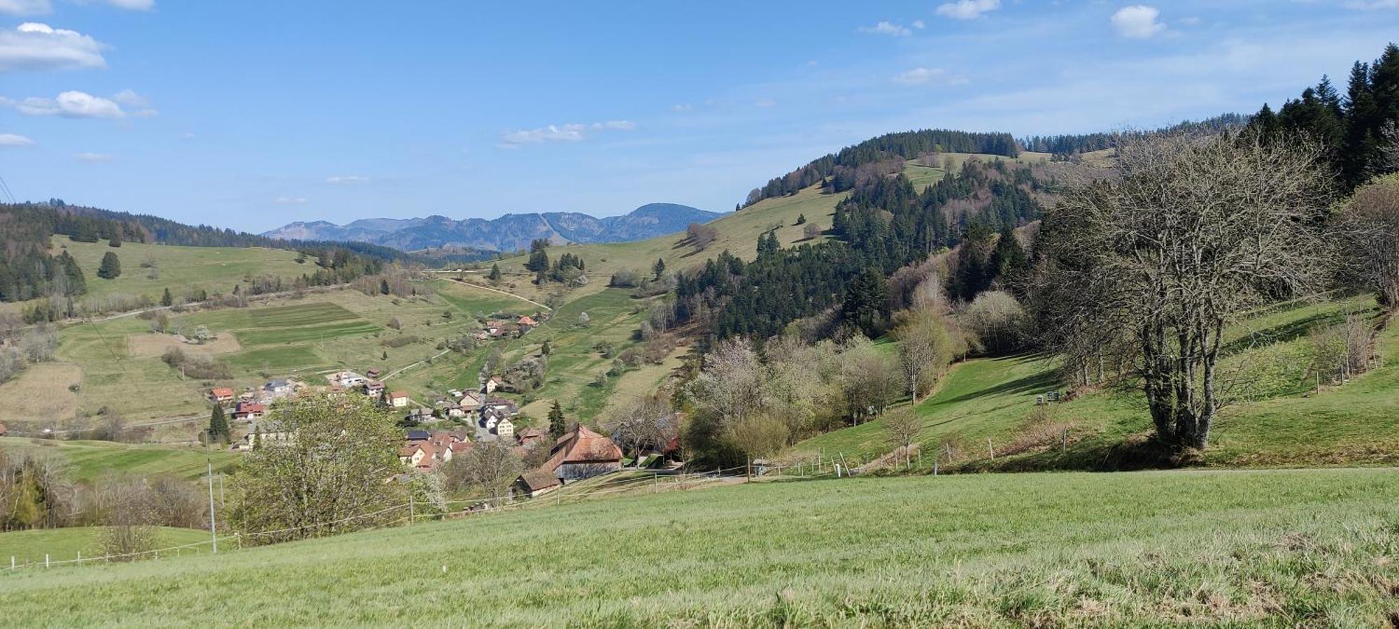 Ferienwohnung Nani Kleines Wiesental Exteriör bild